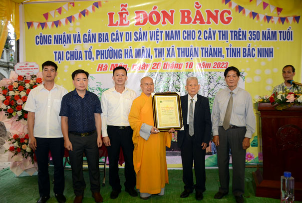 Cây[-]đầu[-]tiên[-]ở[-]thị[-]xã[-]Thuận[-]Thành[-]được[-]vinh[-]danh[-]Cây[-]Di[-]di[-]sản[-]Việt[-]Nam